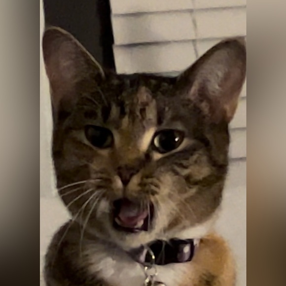 Hi! - Picture 2 of 2